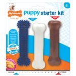 Nylabone Puppy Chew Toy Starter Kit Small