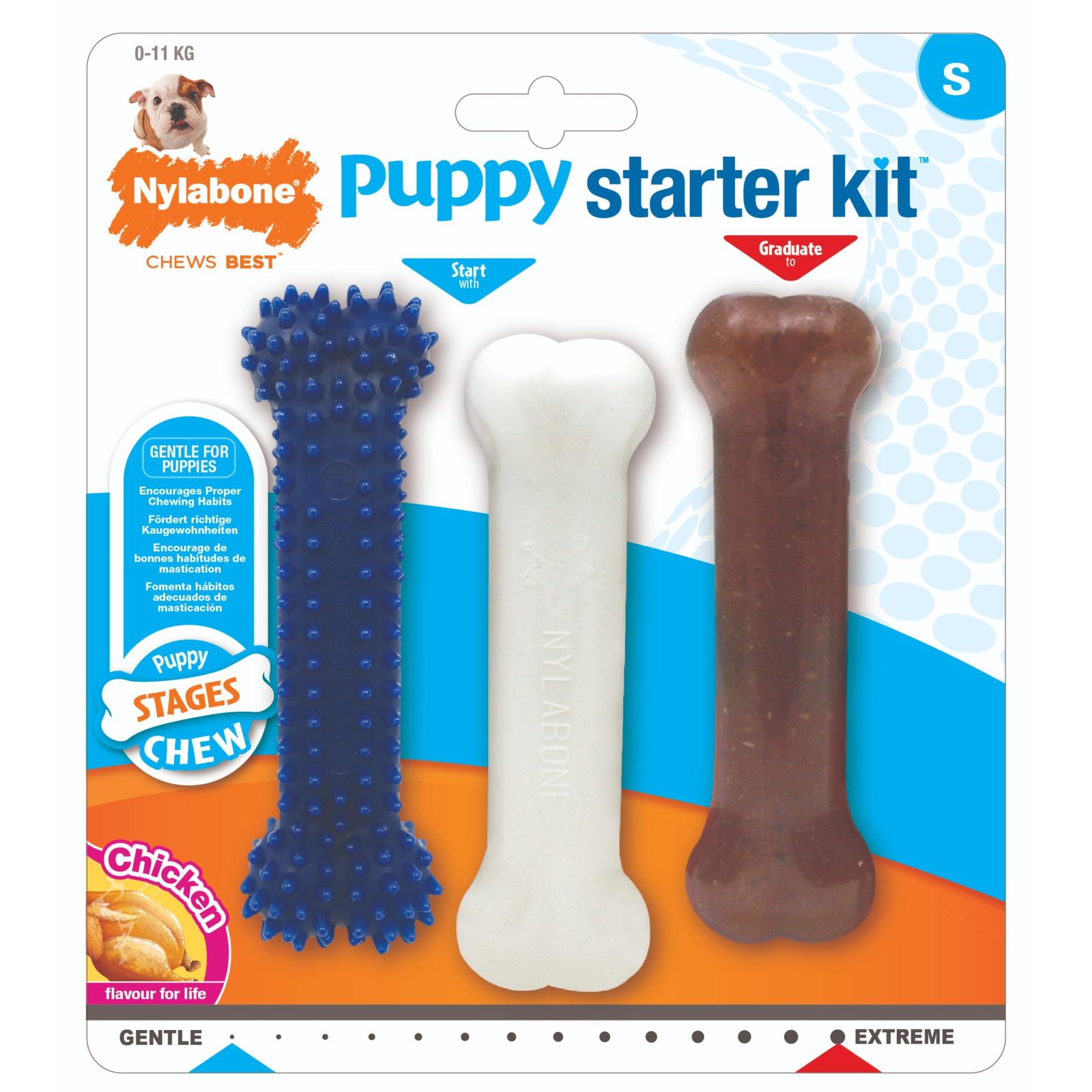 3000_7138168P.jpg Nylabone Puppy Chew Toy Starter Kit Small - Image 1