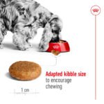 Royal Canin Medium Dry Adult Dog Food - Image 3