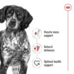 Royal Canin Medium Dry Adult Dog Food - Image 4