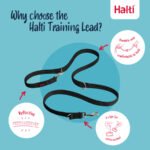 Halti Training Double Ended Dog Lead Black - Image 2