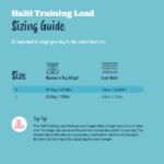 Halti Training Double Ended Dog Lead Black - Image 4