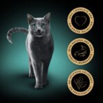 Sheba Fine Flakes Wet Adult Cat Food Fish In Jelly Giant - Image 2