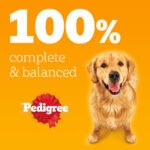 Pedigree Mixed Selection Wet Dog Food In Jelly - Image 3