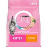 Purina One Kitten Dry Cat Food Chicken