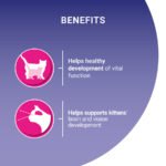 Purina One Kitten Dry Cat Food Chicken - Image 4
