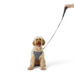 Wainwright's Herringbone Dog Lead Grey - Image 2